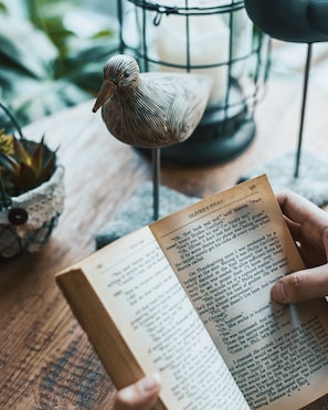 Une personne est assise à une table, un livre ouvert devant elle, et une figurine d’oiseau est posée sur la table.