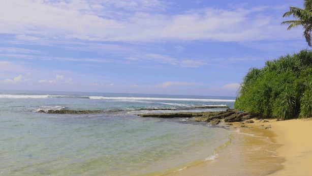 A beach with clear water, a sandy shore, and a palm tree. - Akash Villa (Thalaramba)
