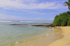 A beach with clear water, a sandy shore, and a palm tree. - Akash Villa (Thalaramba)