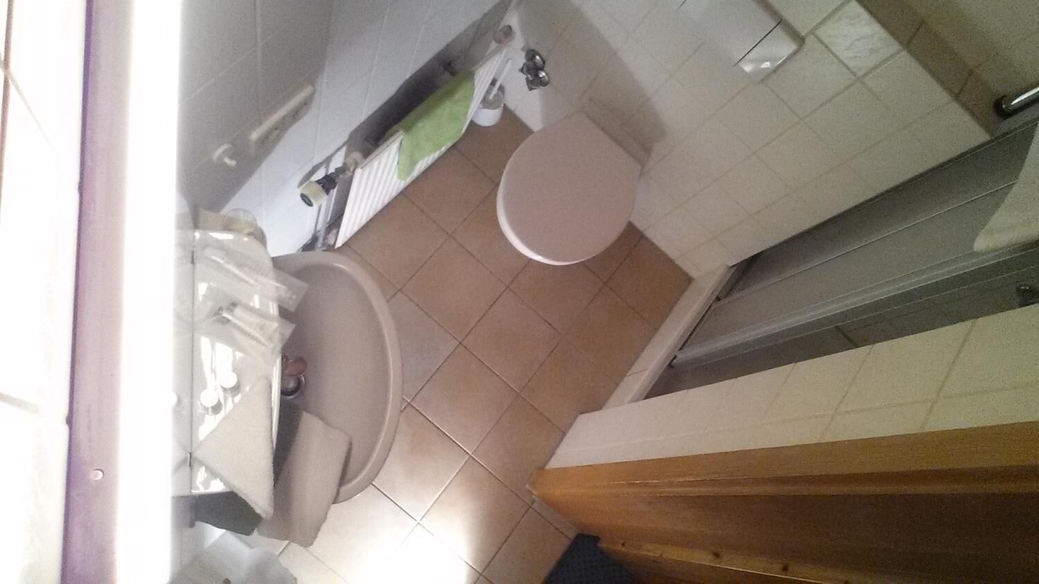 Dusche, kostenlose Toilettenartikel