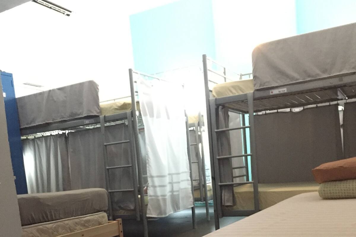 Single Bed in 13-Bed Mixed Dorm | Free WiFi