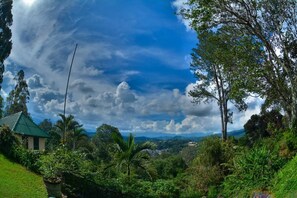 View from property - Sagala Bungalow (Bandarawela)