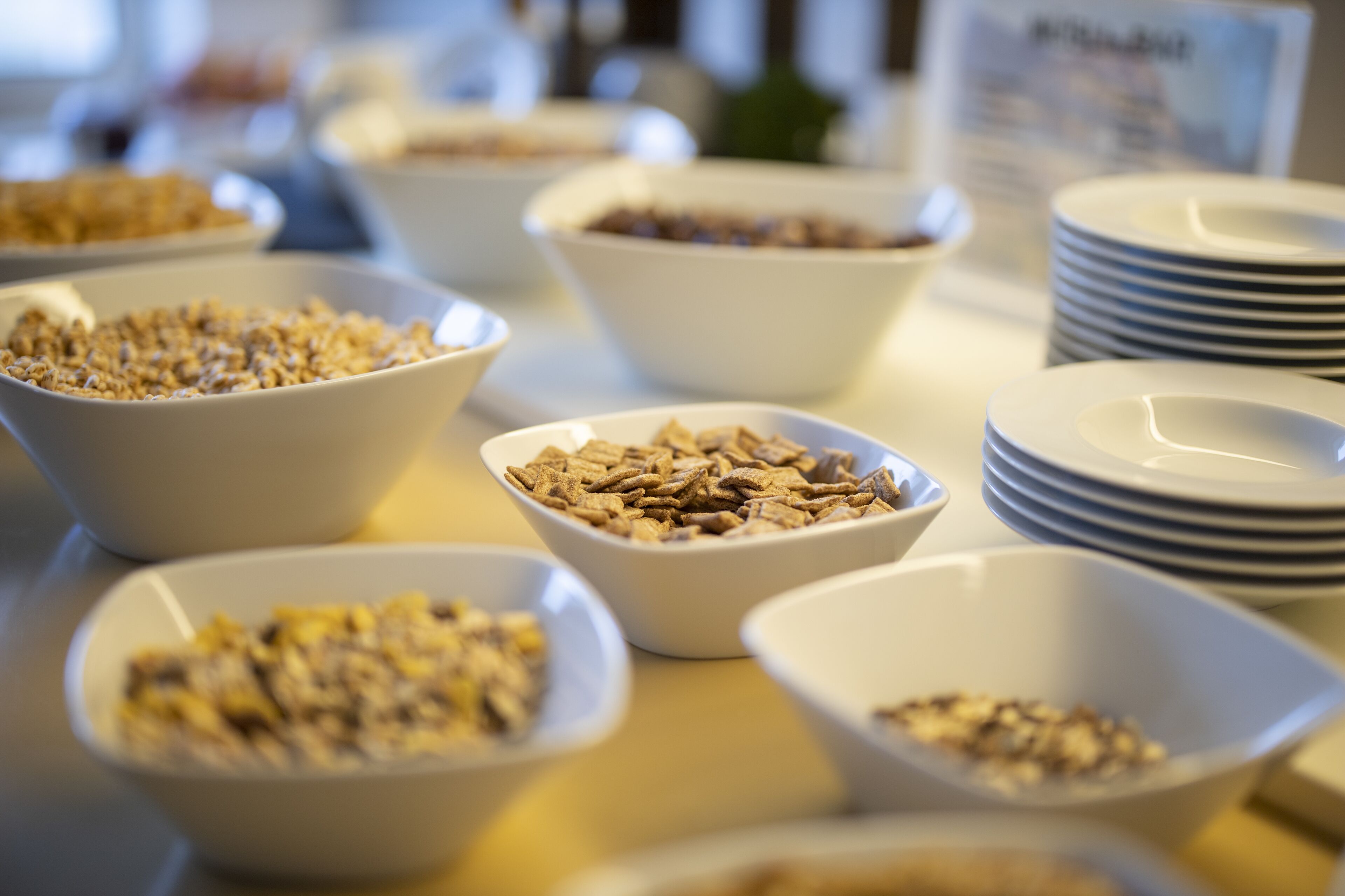 Daily buffet breakfast for a fee