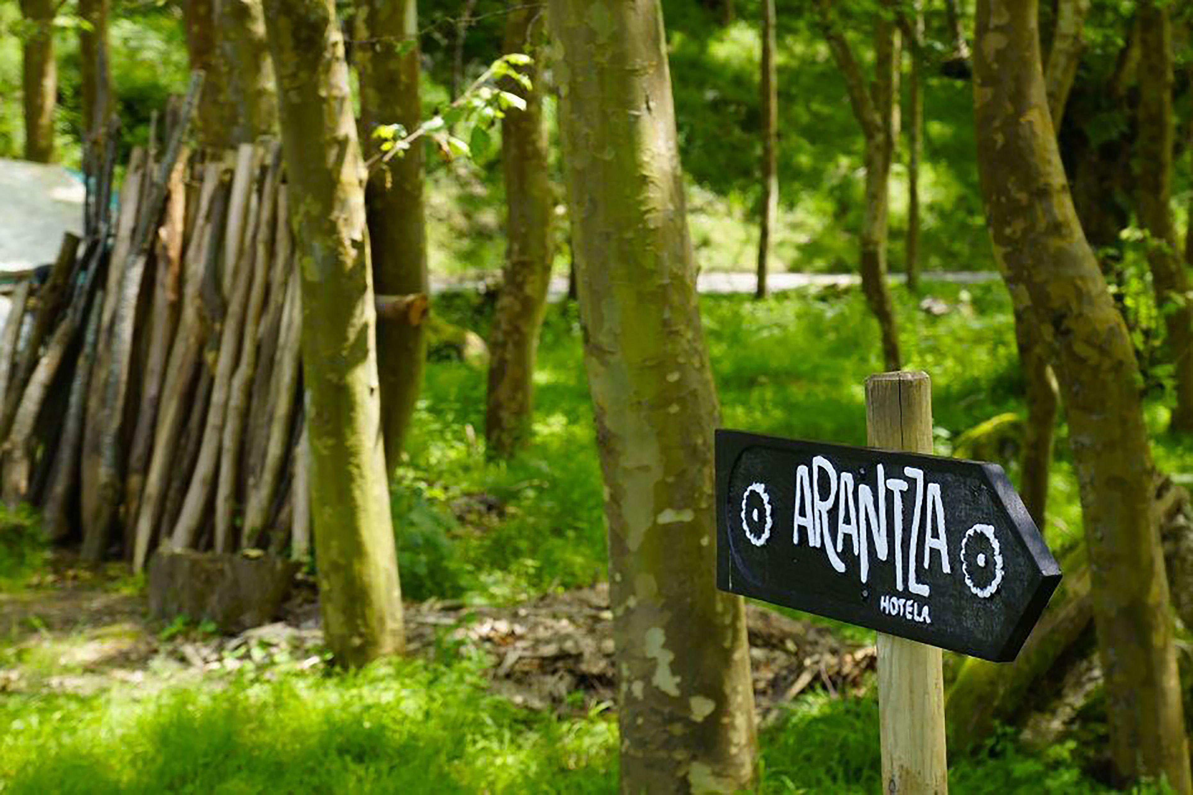 A wooden signpost with the name 'ARANTZA HOTEL' pointing to the right.