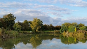 A calm lake with reflections of trees and a clear sky. - The Log Cabin Glebe Farm (Market Rasen)
