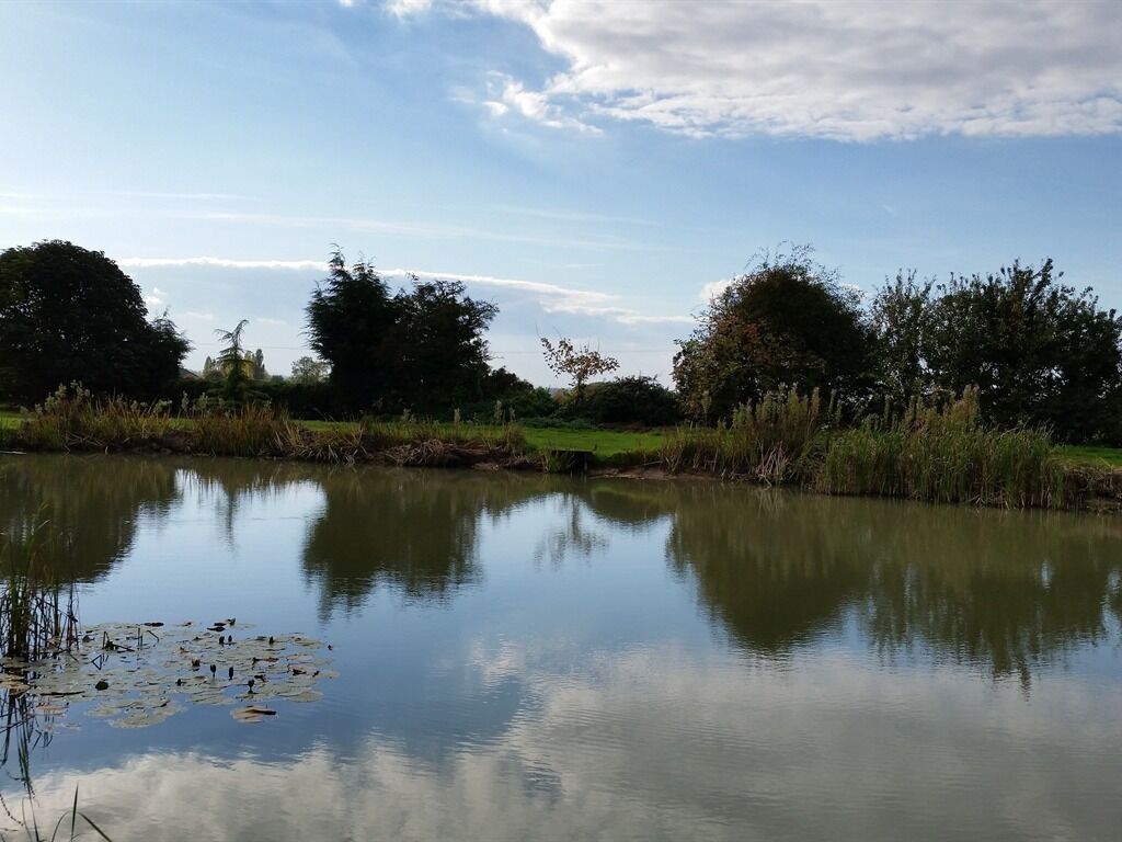 A calm lake with reflections of trees and a clear sky.