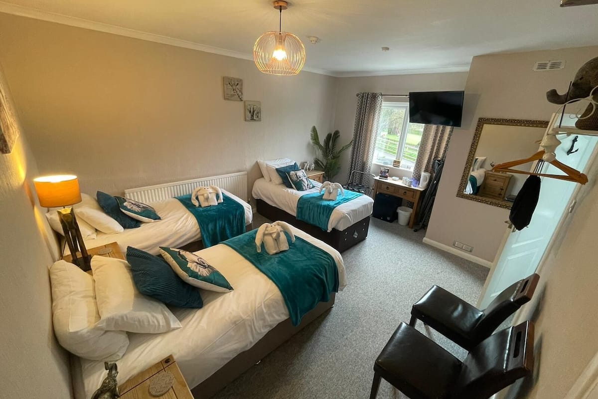 A hotel room with two beds, a desk, a chair, a TV, a mirror, and a window with curtains.
