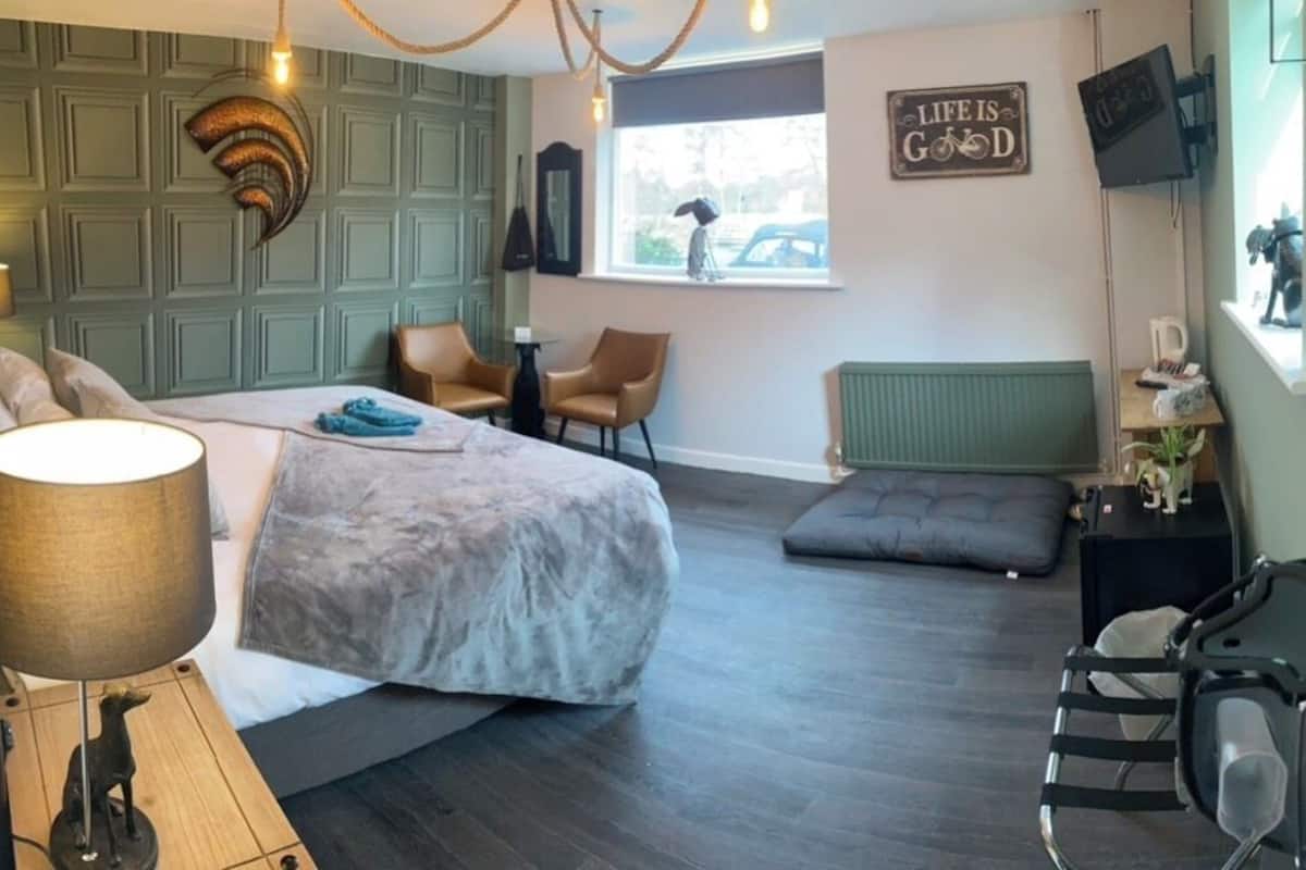 A hotel room with a bed, two chairs, a desk, a bicycle, and a window with a view of the street.