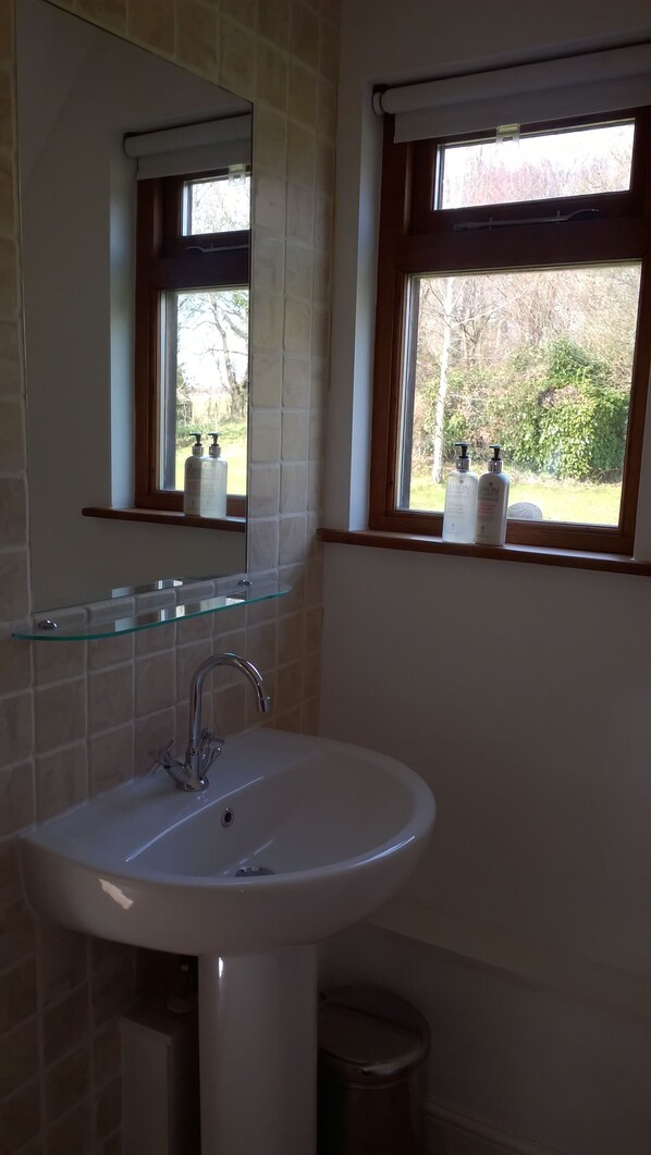 Un baño con un lavamanos blanco, un espejo y una ventana con vistas al verdor exterior.