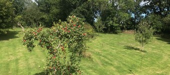 Rosebank Bed & Breakfast