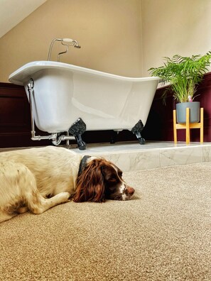 Suite superior, amb bany privat, vistes al jardí