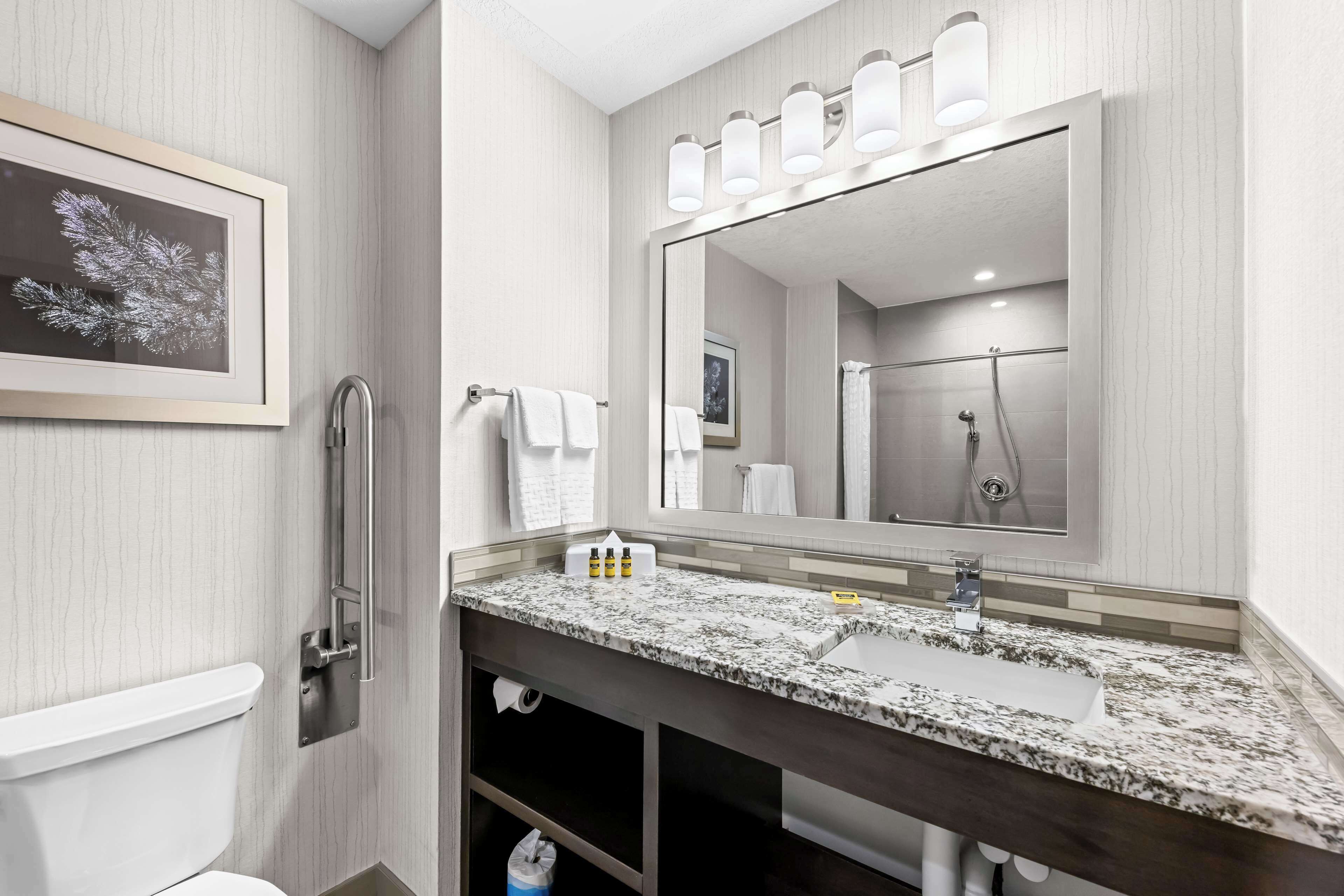 combined shower/bathtub, free toiletries, hair dryer, towels