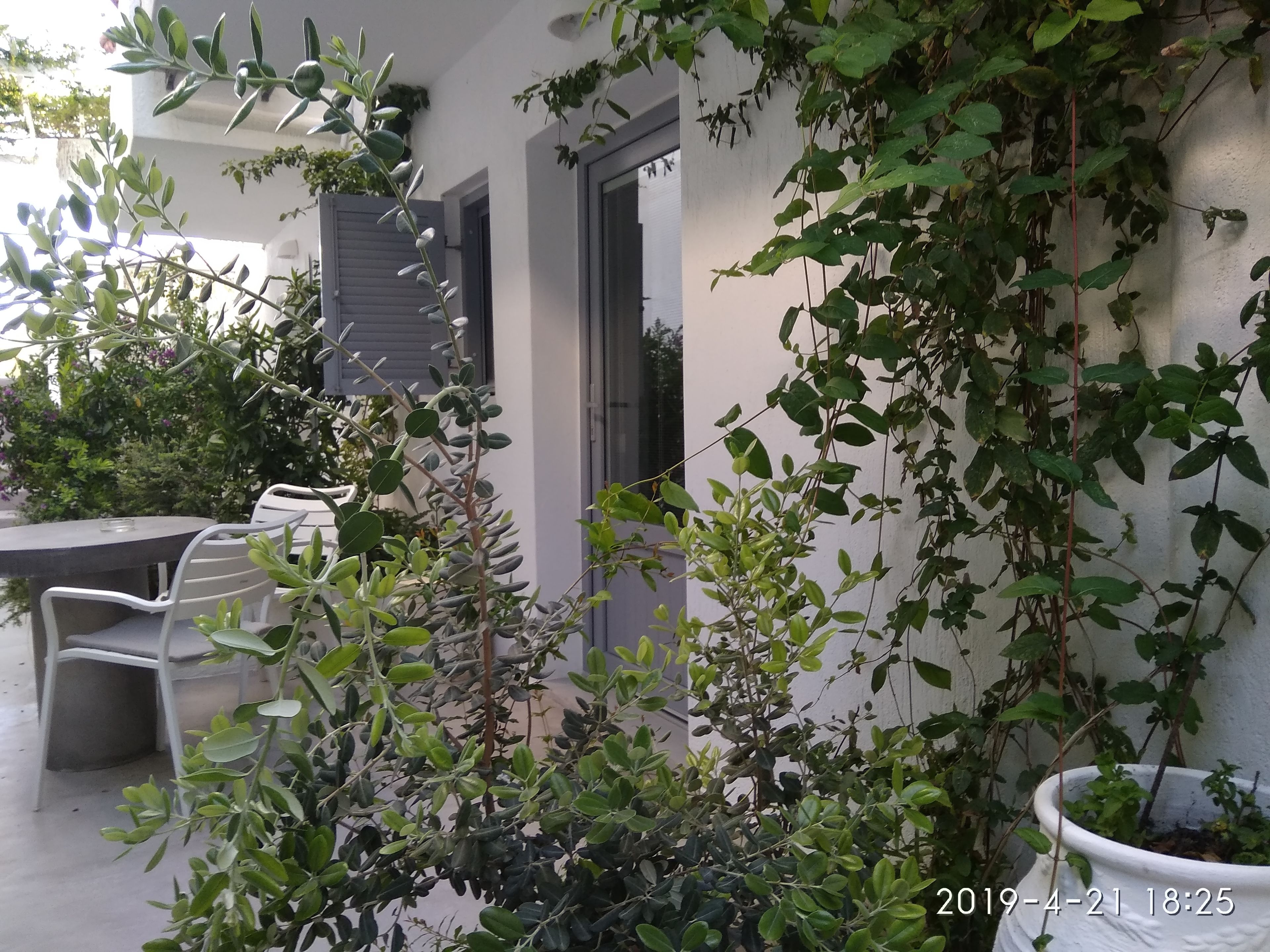 Un espace extérieur aménagé en terrasse, avec une table ronde et des chaises, entouré d’une végétation luxuriante et d’un mur blanc.