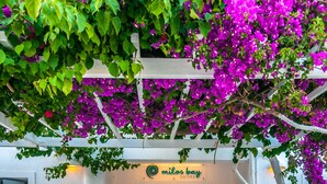 A hotel entrance with a white facade, a sign reading "Milos Bay Suites," and a covered walkway with purple flowers. - Milos Bay Suites (Milos)