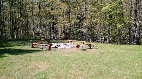 Children’s activities