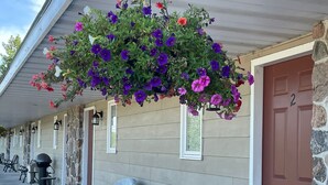 Un edificio con fachada de piedra, una puerta marrón con el número 2 y una maceta colgante con flores moradas y rojas.