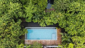 Vue aérienne d’une piscine rectangulaire entourée d’une végétation luxuriante, avec une terrasse en bois au premier plan.