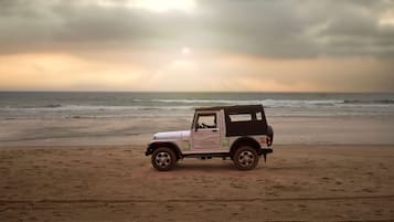 Explore the pristine beach from the comfort of a 4x4 vehicle.