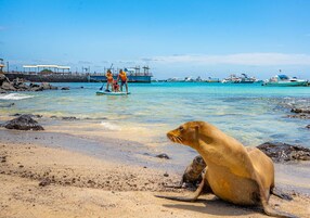 Fachada del alojamiento