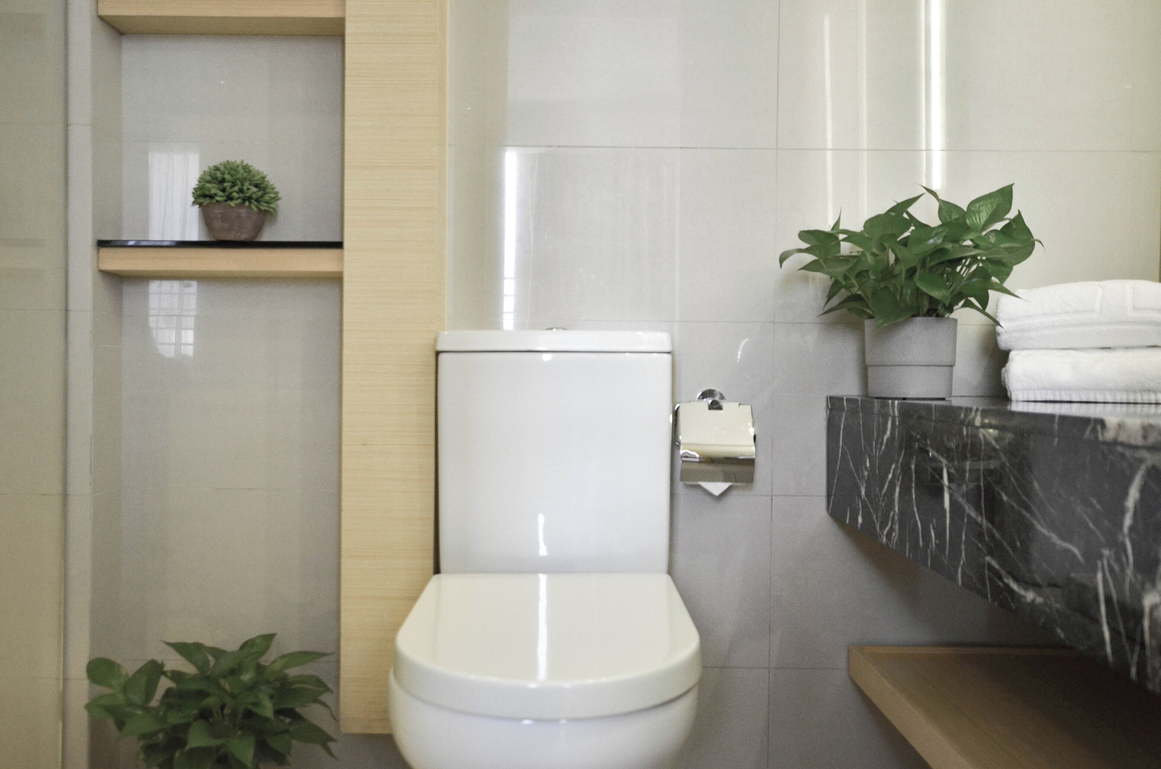 Photo - Eco Tree Hotel Sheung Wan