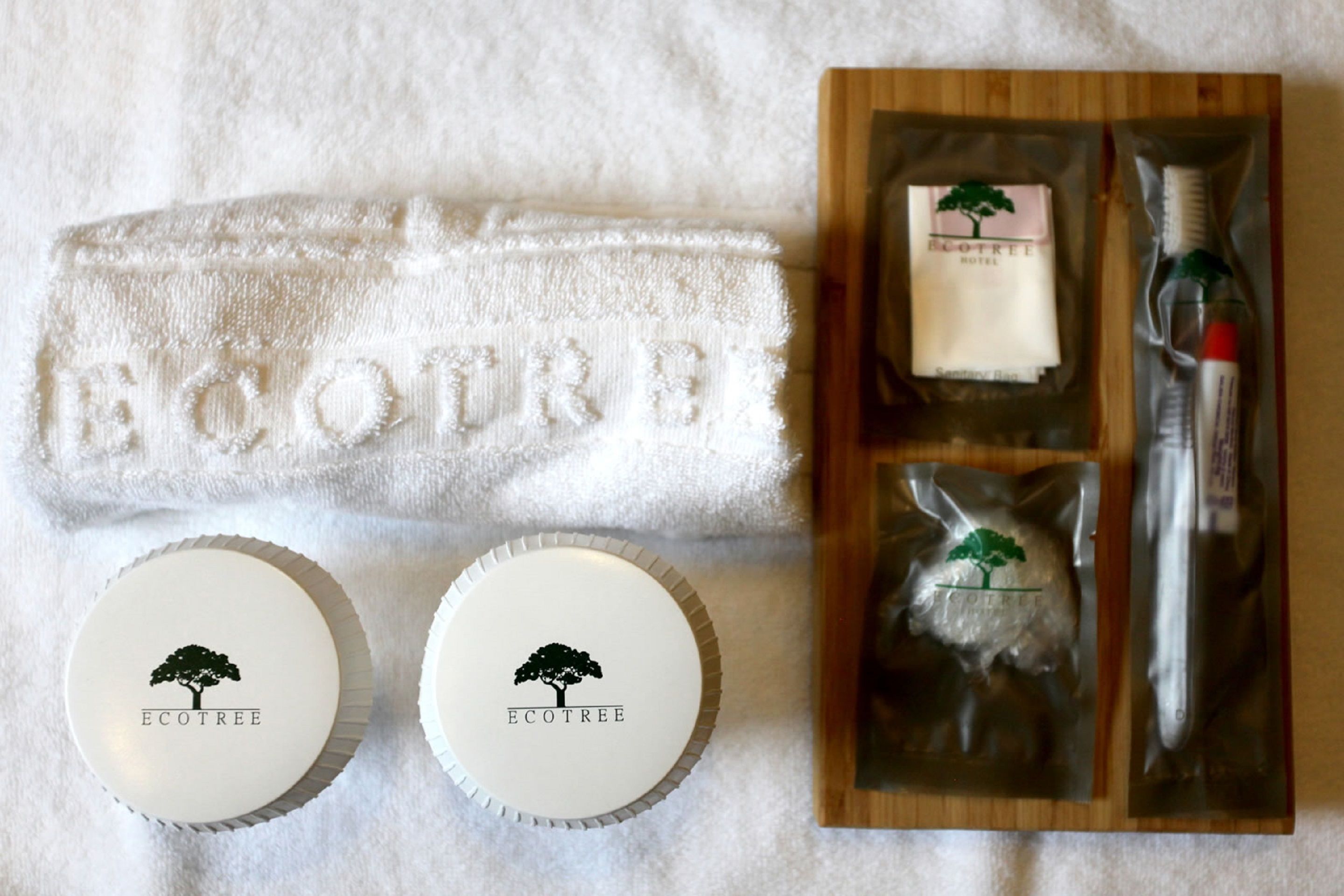 shower, free toiletries, hair dryer, slippers