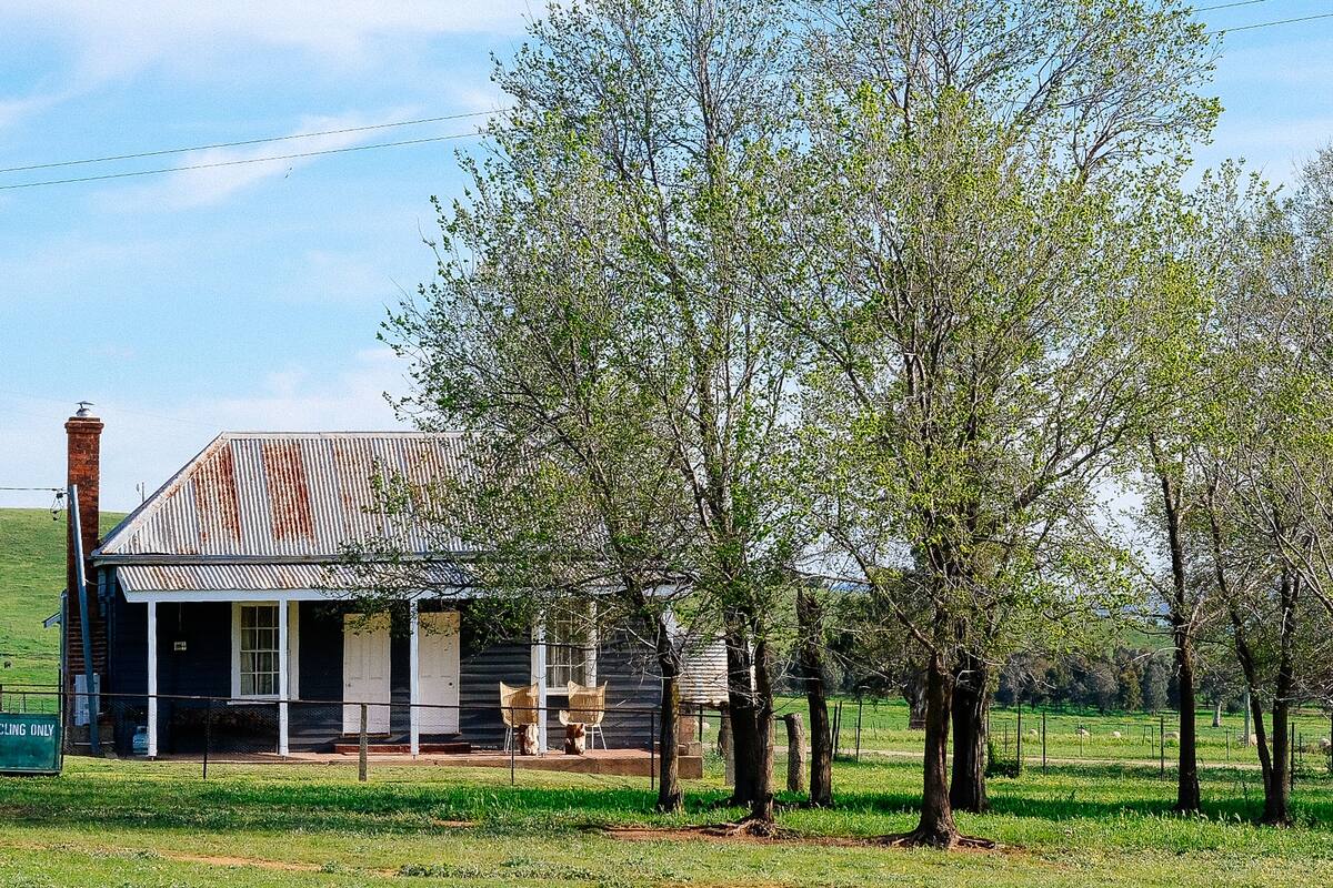 A rustic cabin with a metal roof, surrounded by lush greenery and a fenced pasture.