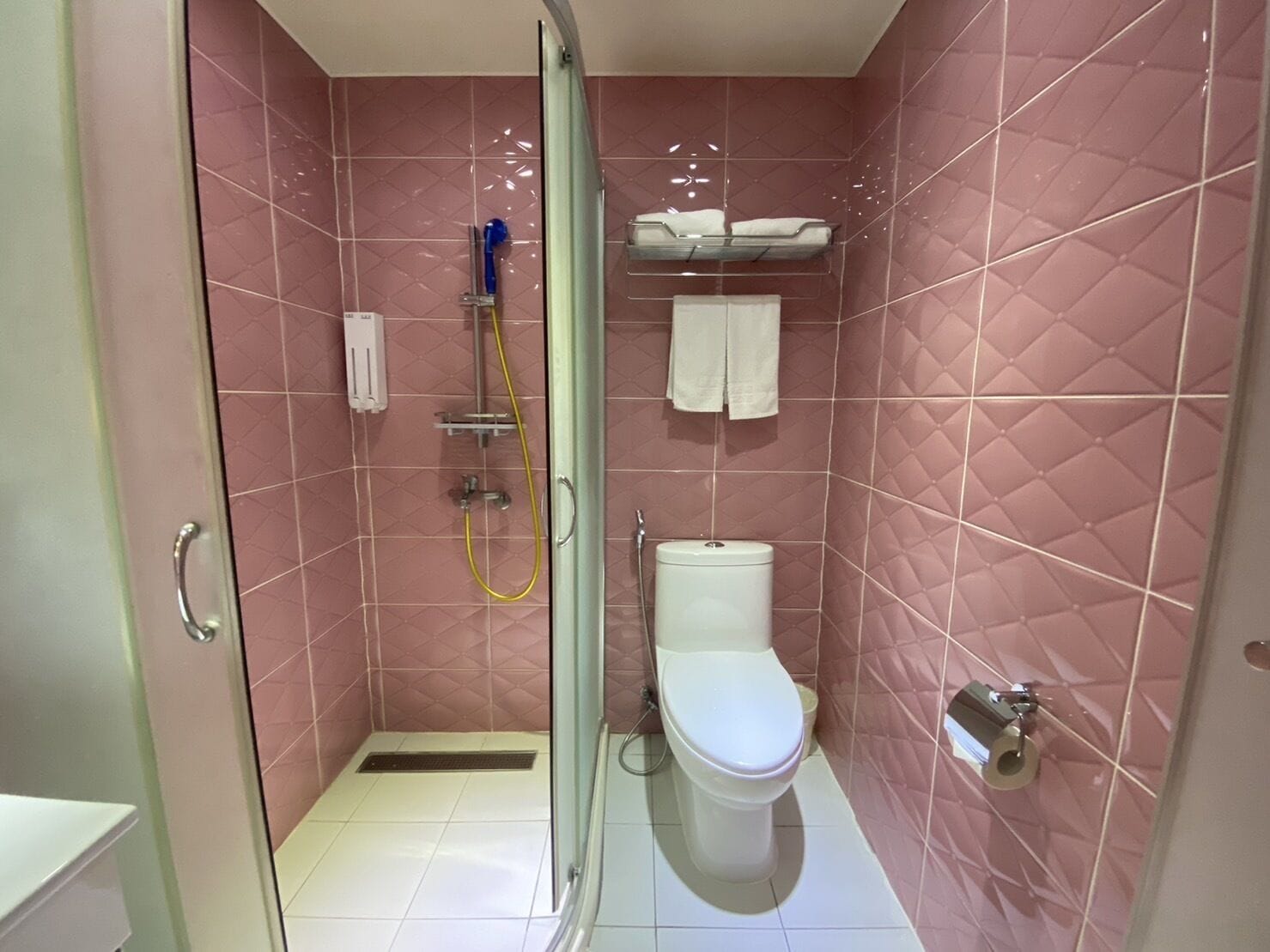 Een badkamer met roze tegels, een glazen douchecabine, een toilet en een handdoekhouder.