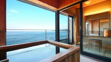 Beach/ocean view