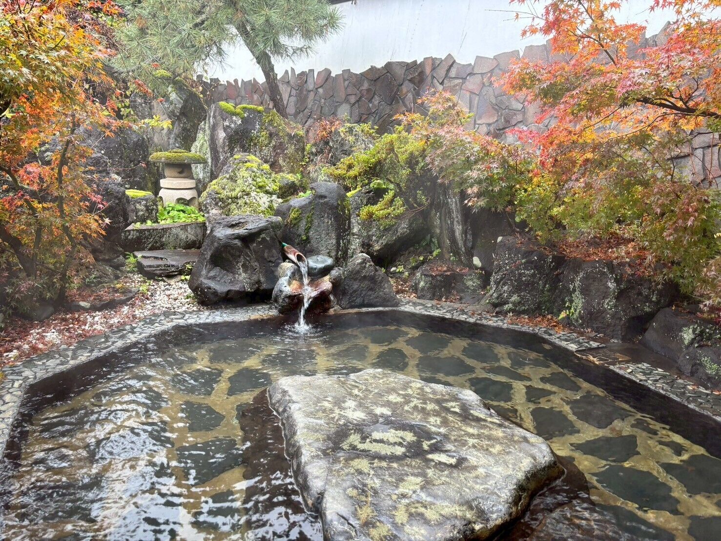 A tranquil garden with a stone pond, moss-covered rocks, and autumn foliage.