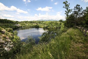 Alberca