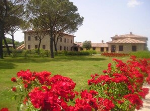 Garden - Principe del Trasimeno (Castiglione del Lago)