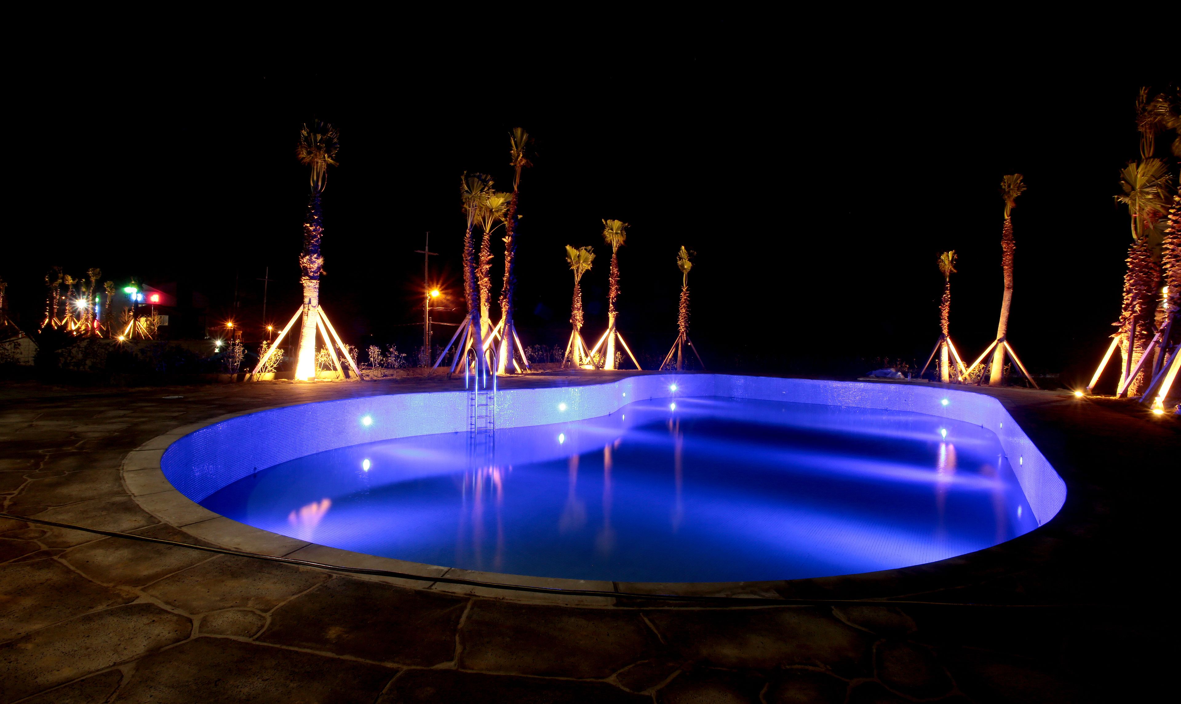 Una piscina nocturna con palmeras iluminadas y un solárium de piedra.