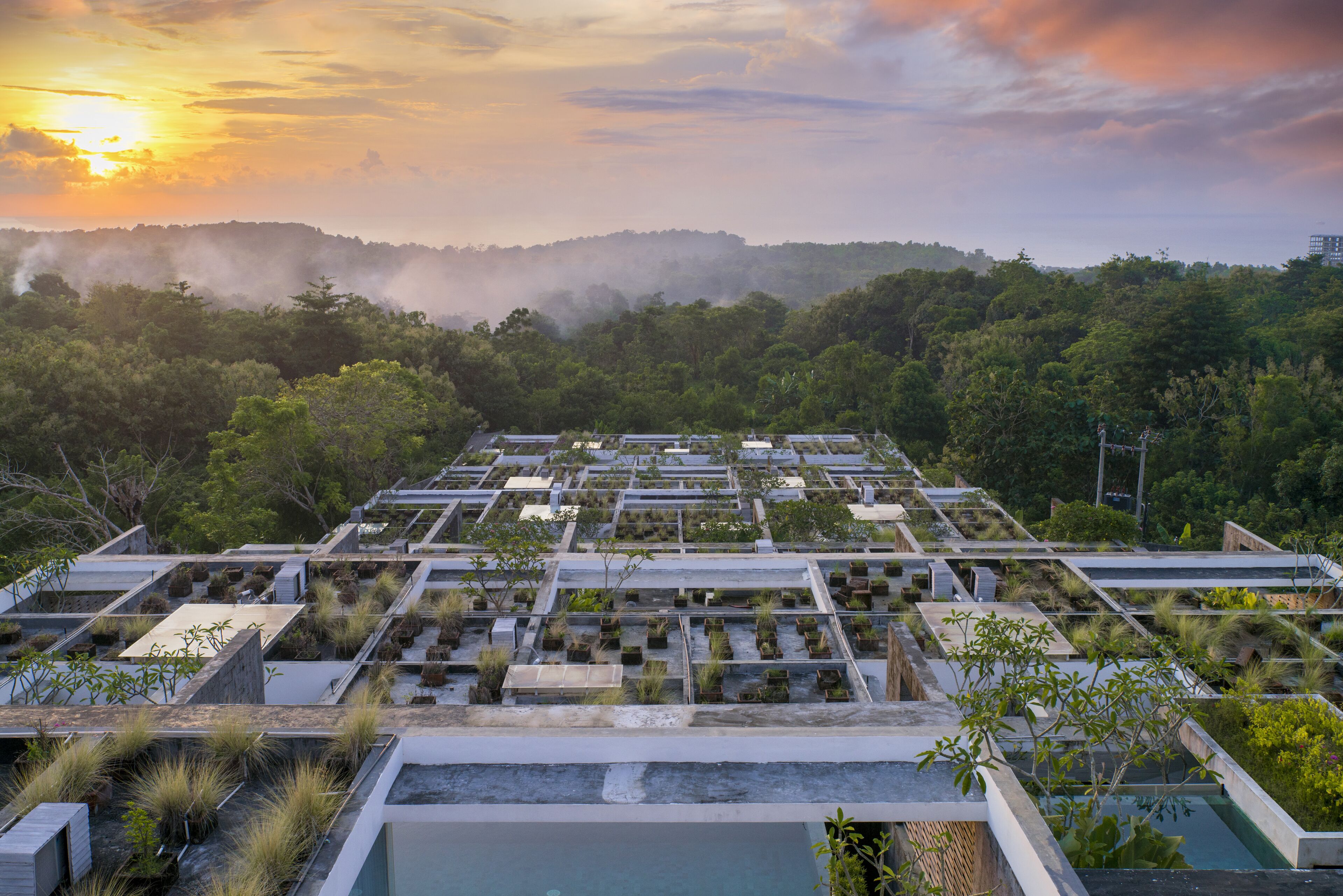 A rooftop garden with a view of a forested hill at sunset.