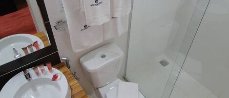 A bathroom with a sink, toilet, and glass shower enclosure.