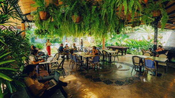 An indoor dining area with tables and chairs, surrounded by hanging plants and greenery. - Viajero Cali Hostel & Salsa School (Cali)