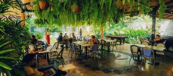 Viajero Cali Hostel & Salsa School