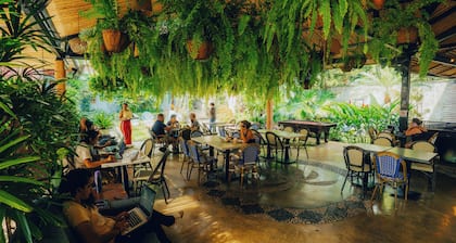 Viajero Cali Hostel & Salsa School