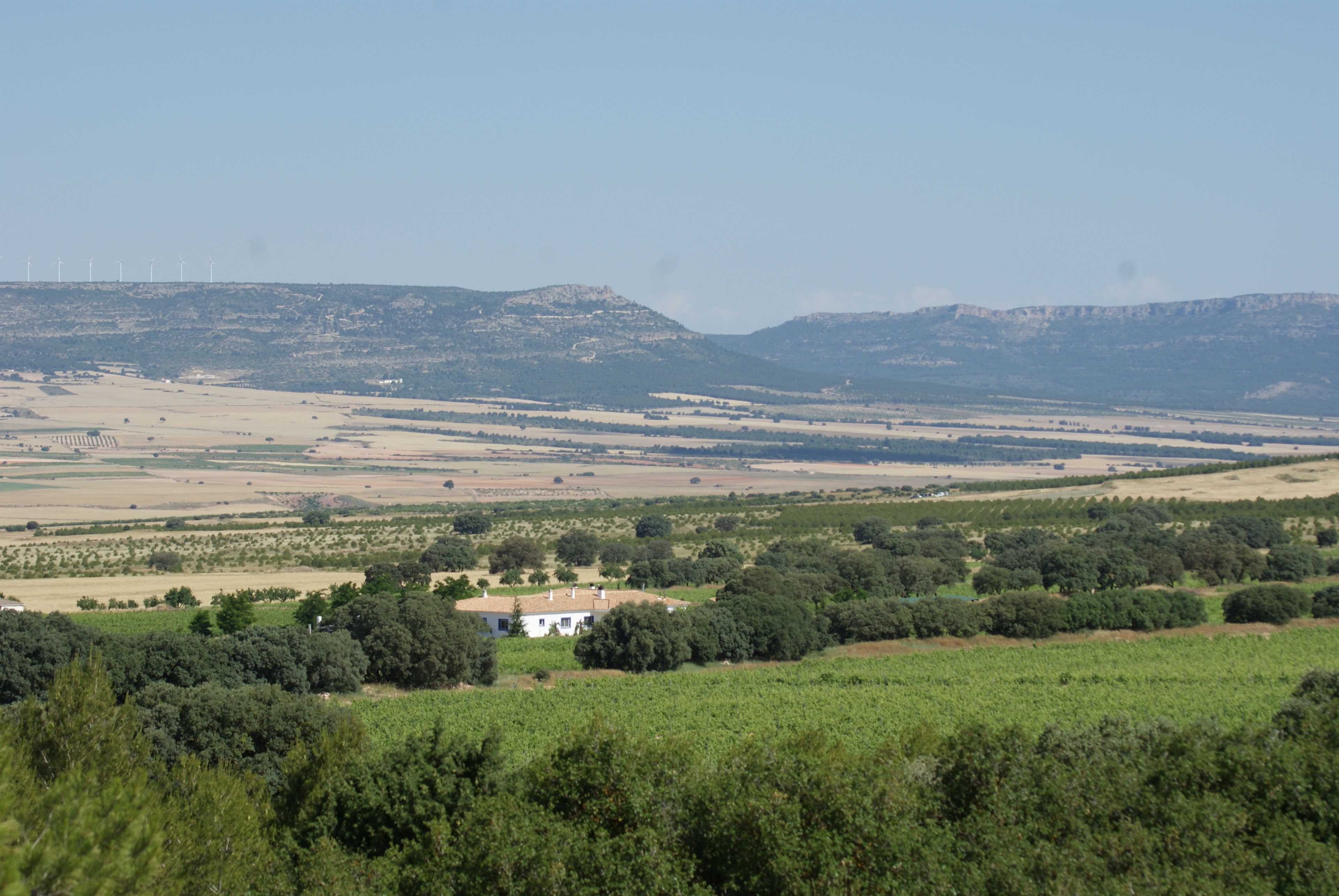 Paisaje rural con una casa rodeada de campos y árboles, y aerogeneradores al fondo.