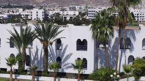 A white building with arched windows and palm trees in front. - Anezi Apartments (Agadir)