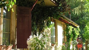 Front of property - Hôtel-Restaurant Monte d'Oro (Vivario)