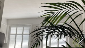 A bedroom with a bed, a chair, and a large potted plant. - The Esplanade (Weymouth)
