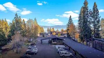 A parking lot with several cars, a covered building, and tall trees in the background.