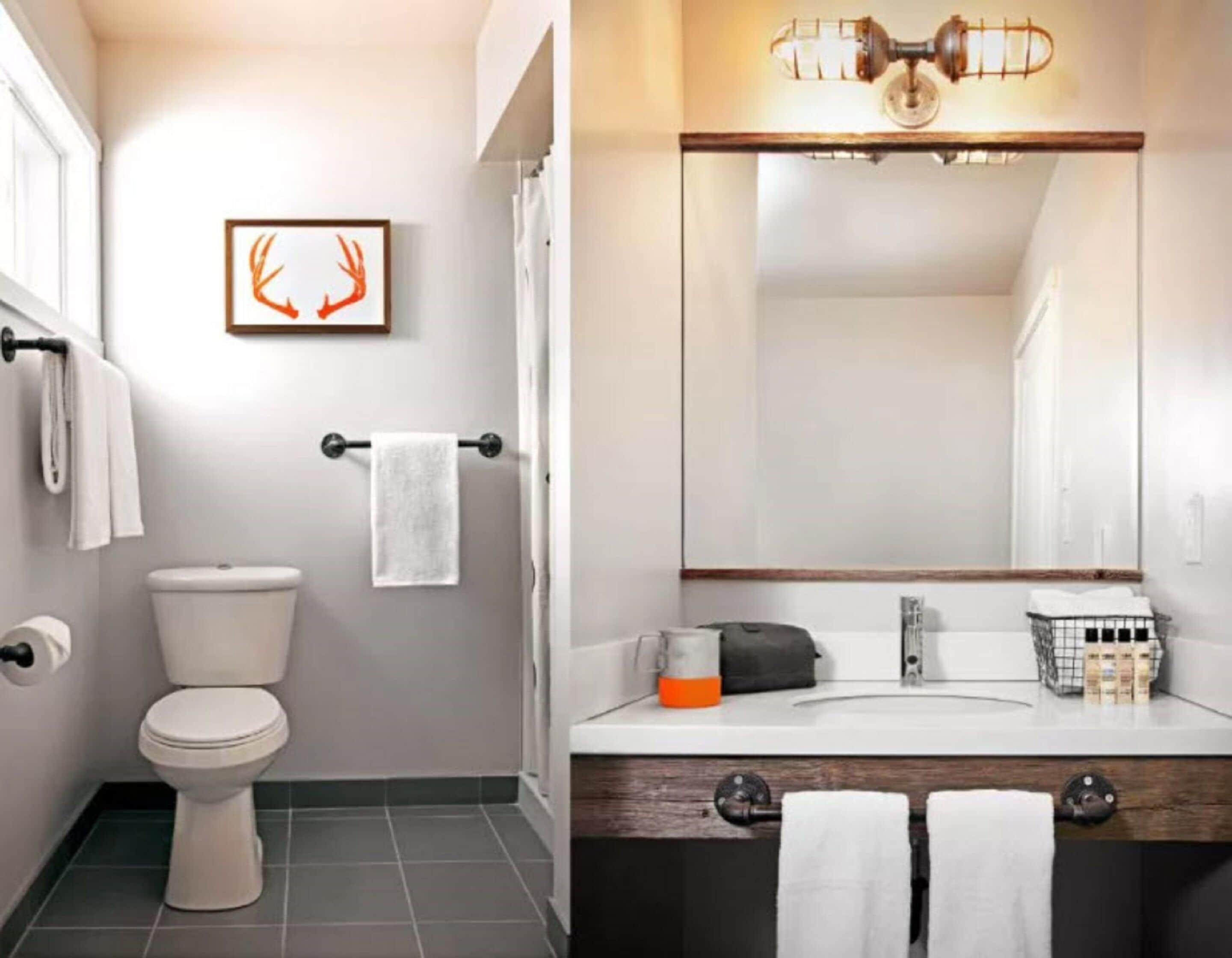 A modern bathroom with a toilet, a towel rack, a framed deer antler artwork, and a sink with a mirror above it.