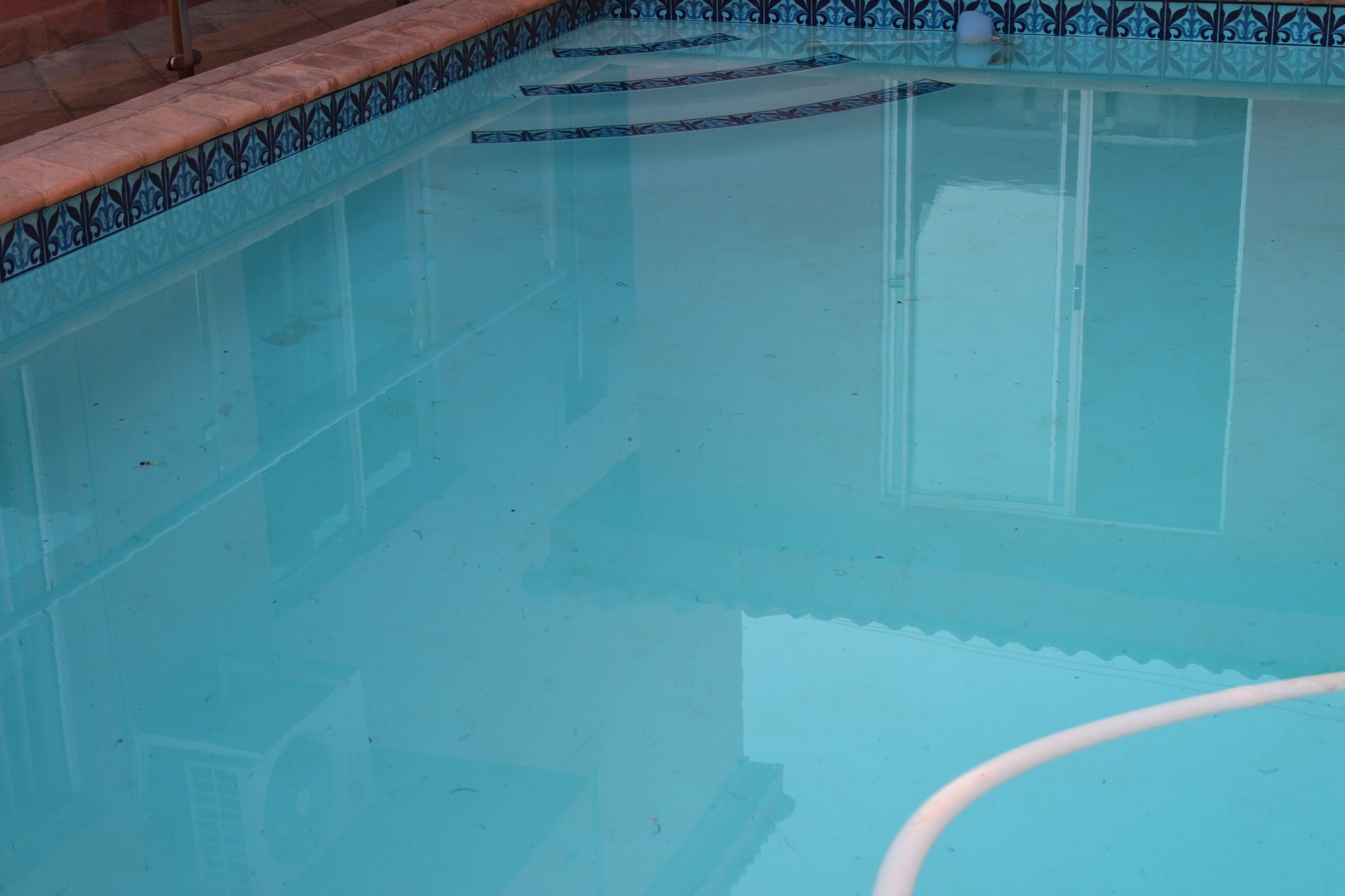 A swimming pool with a tiled edge and a visible pool ladder.