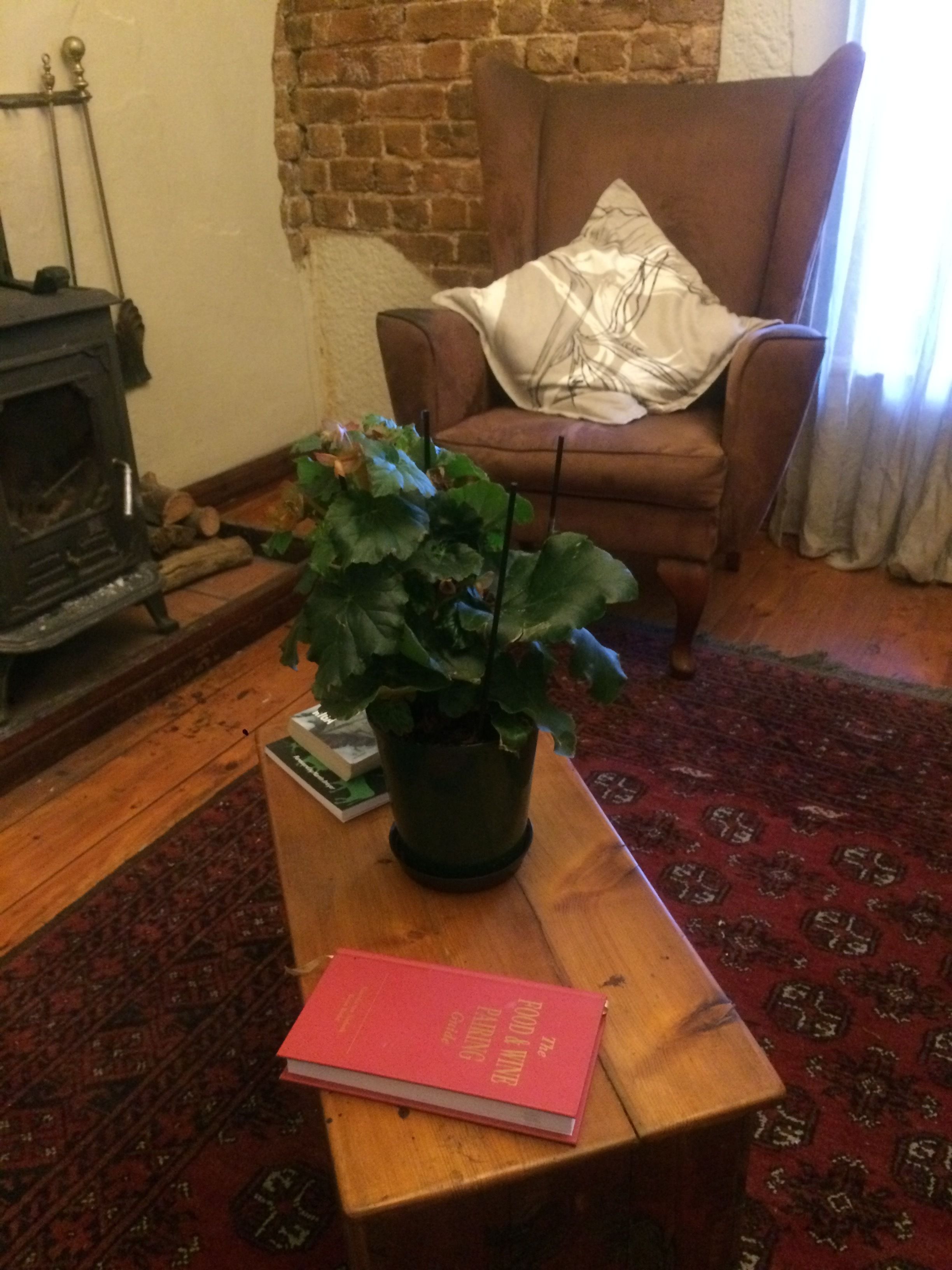 Photo - Harfield Guest Villa