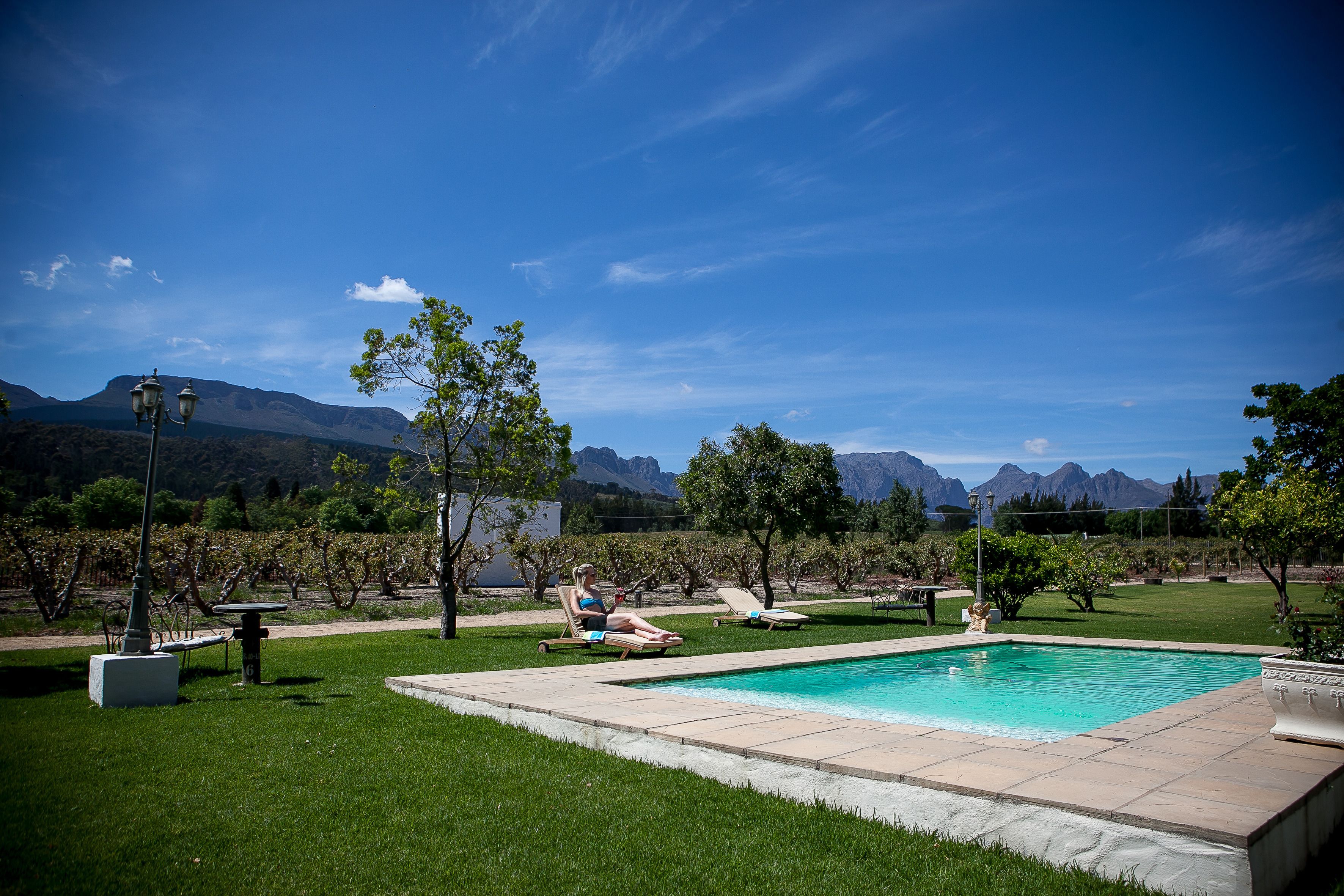 Outdoor pool, pool umbrellas, sun loungers