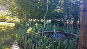 Property grounds - Periwinkle Grove Cottage (Clarens)