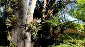 Property grounds - Tamboti Lodge (Tzaneen)