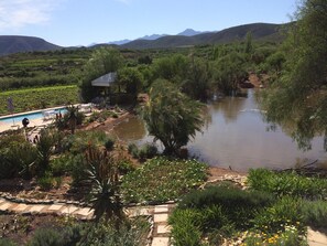 Property grounds - Calitzdorp Country House (Calitzdorp)