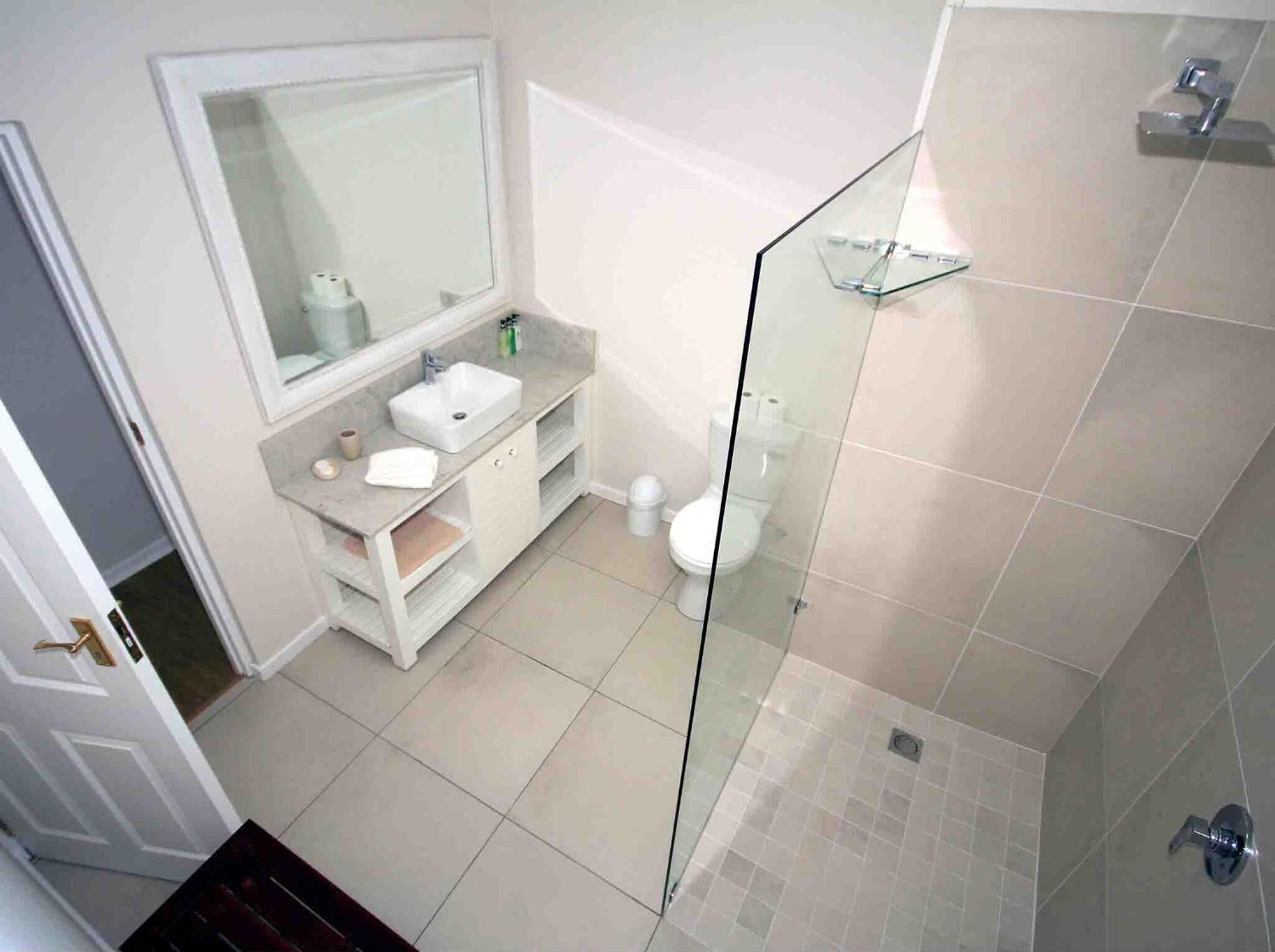 A modern bathroom with a glass shower enclosure, a white sink, and a large mirror.